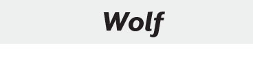 Wolf